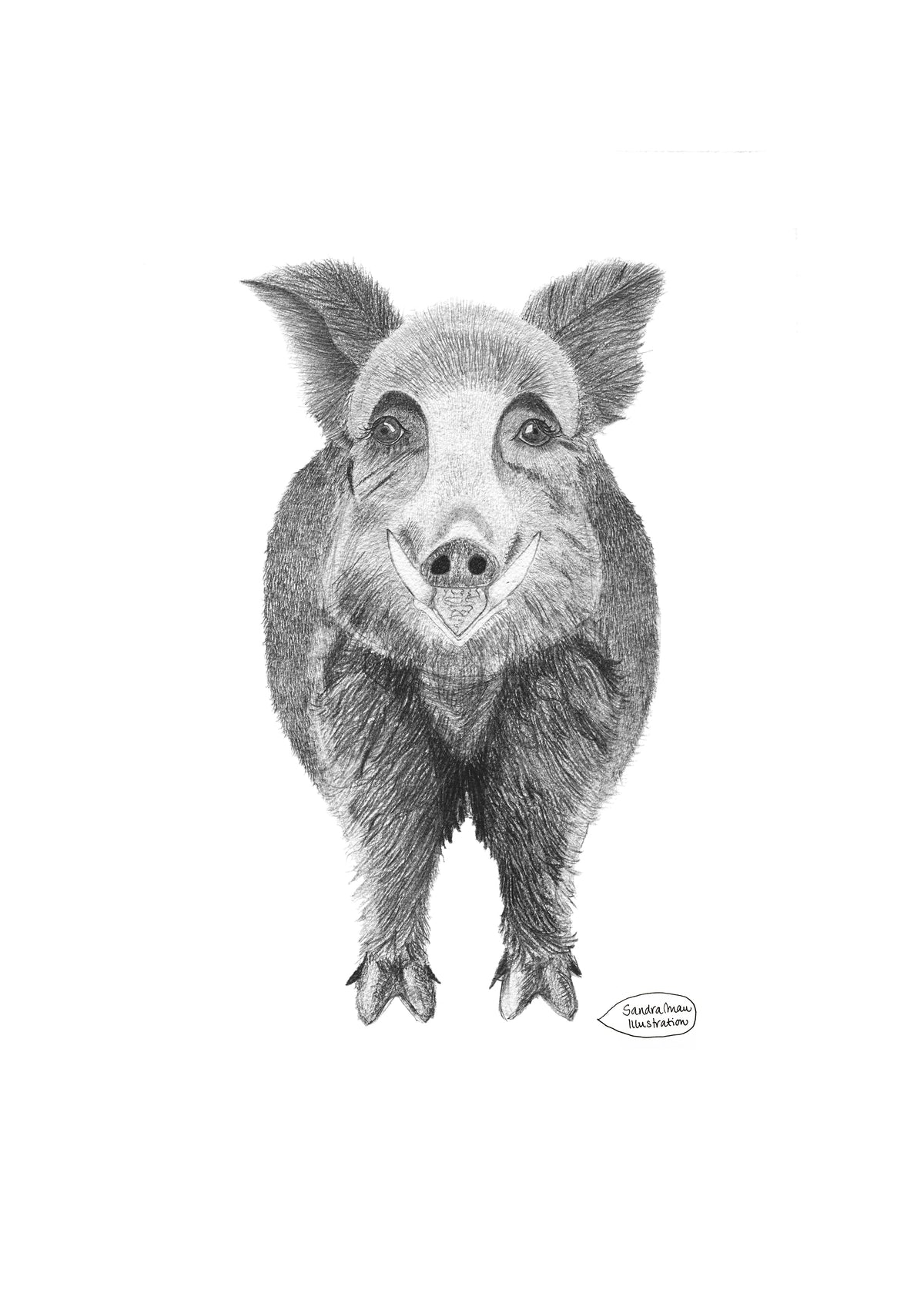 Poster Print Papa Boar