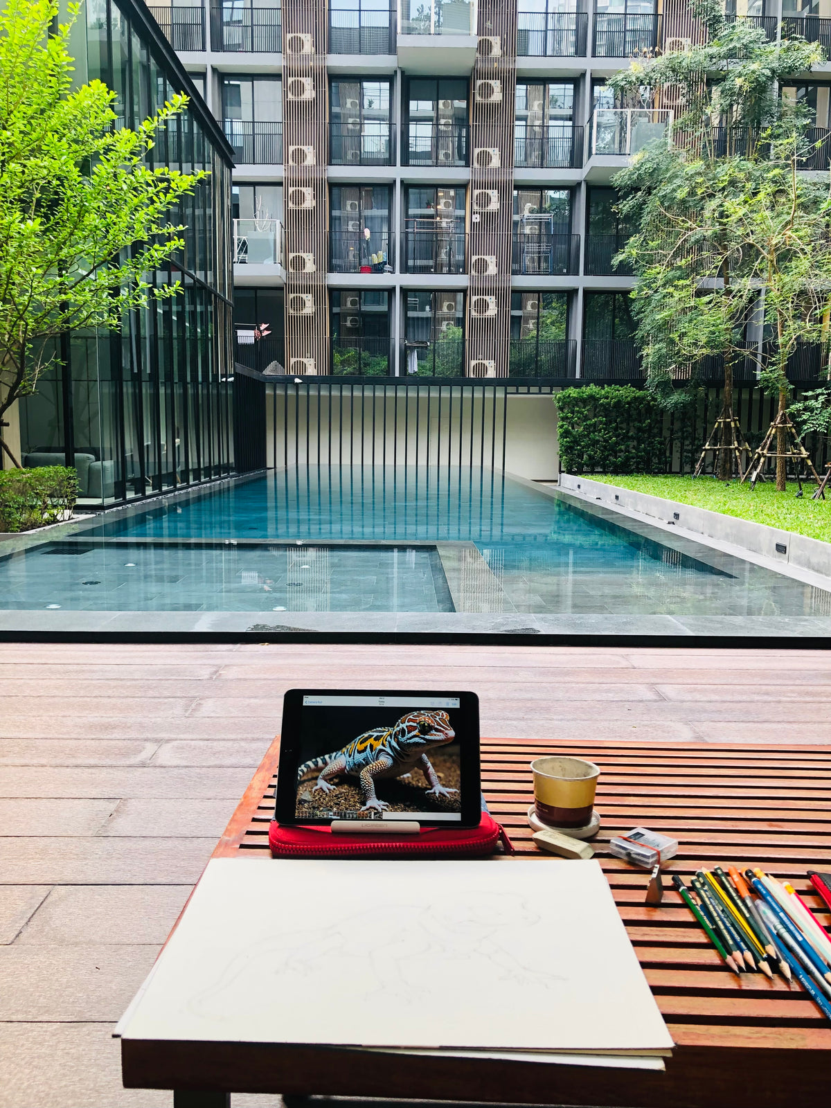 Fine Art Print Gecko by the Pool - Limited Edition