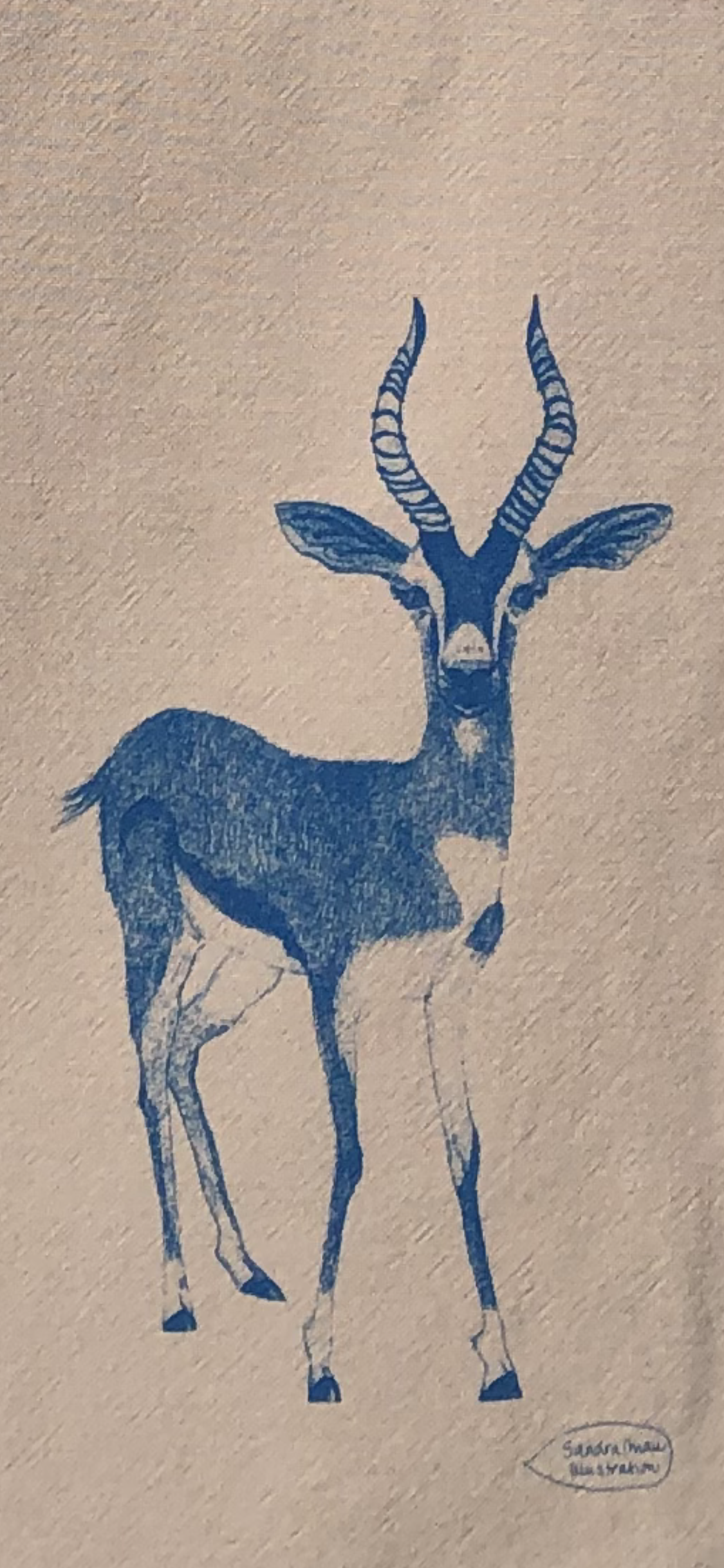 Tea Towel - Geschirrhandtuch - Antelope
