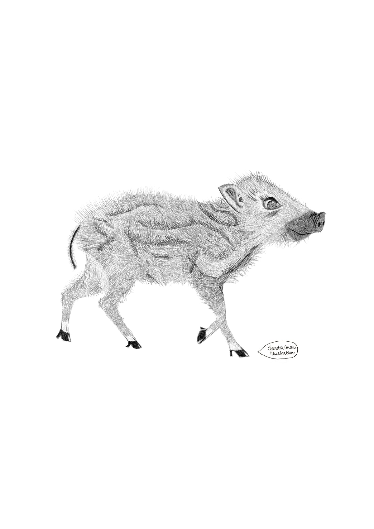 Poster Print Baby Boar Momo