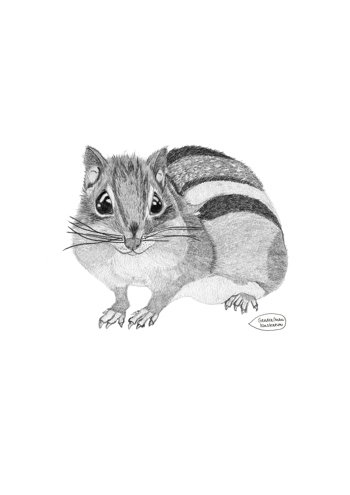 Poster Print The Chipmunk from the scaffolding in Kathmandu