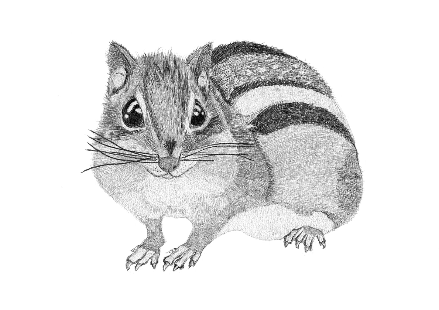 Tea Towel - Geschirrtuch - The Chipmunk from the Scaffolding in Kathmandu