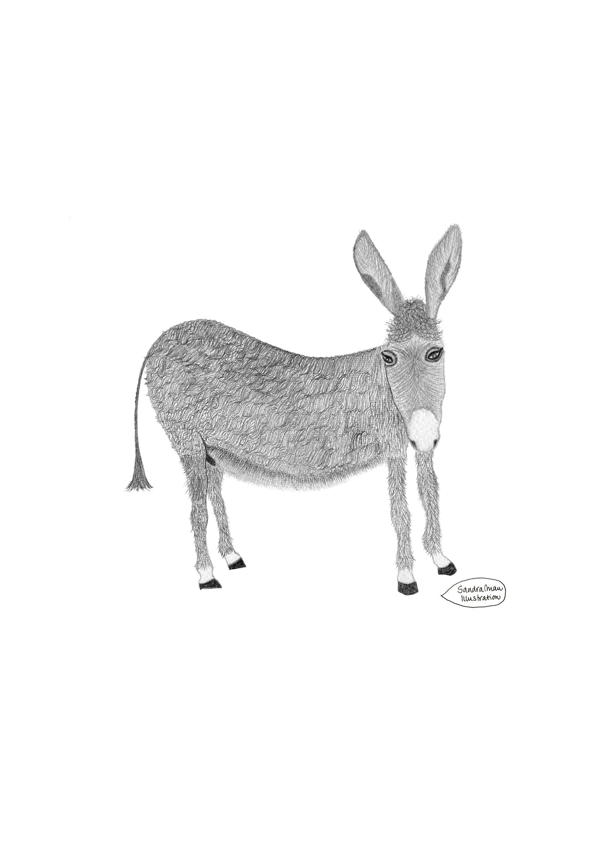 Poster Print A Donkey for Dedee