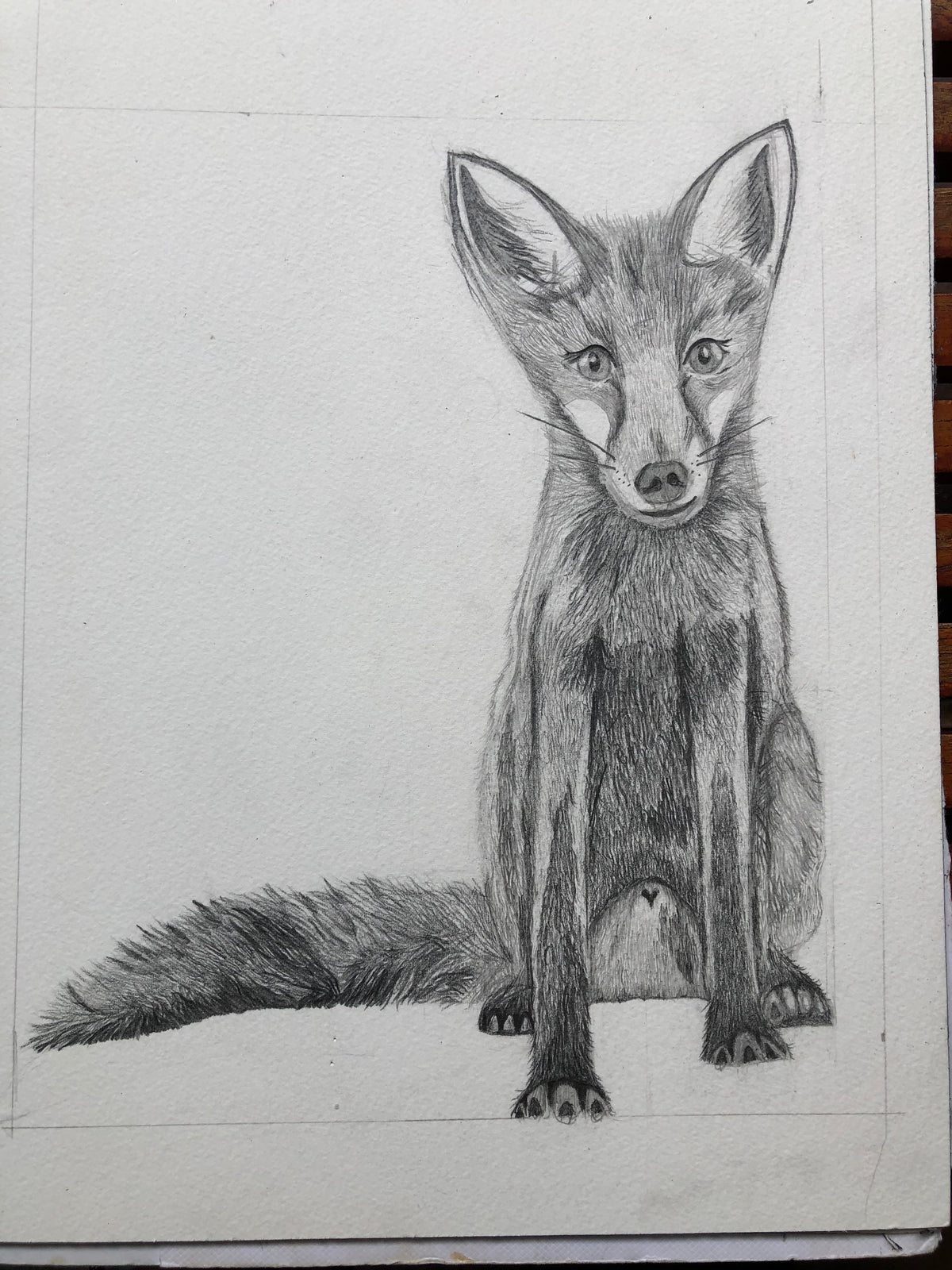 Fine Art Print City Fox - Limited Edition