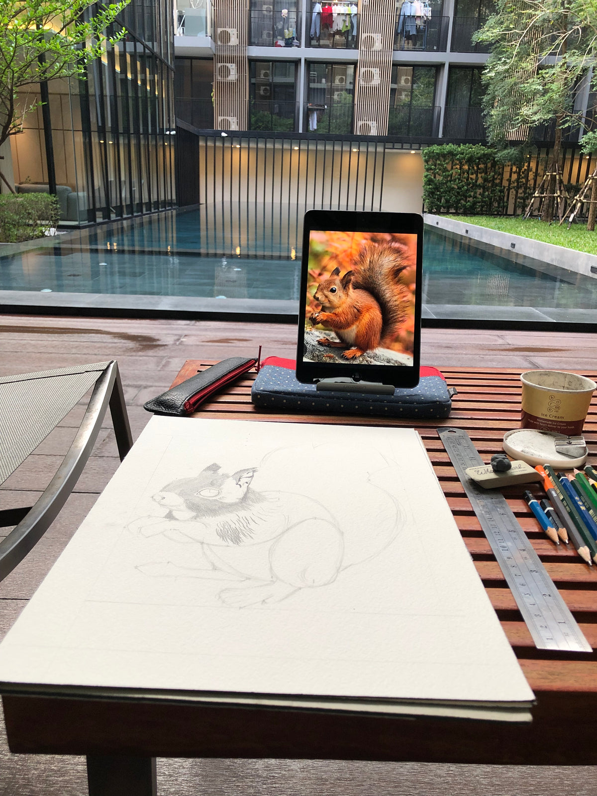 Fine Art Print Squirrel - Limited Edition