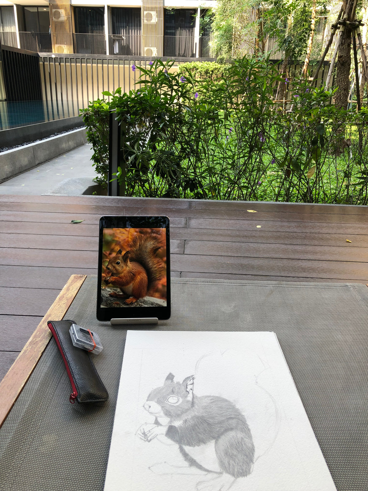 Fine Art Print Squirrel - Limited Edition