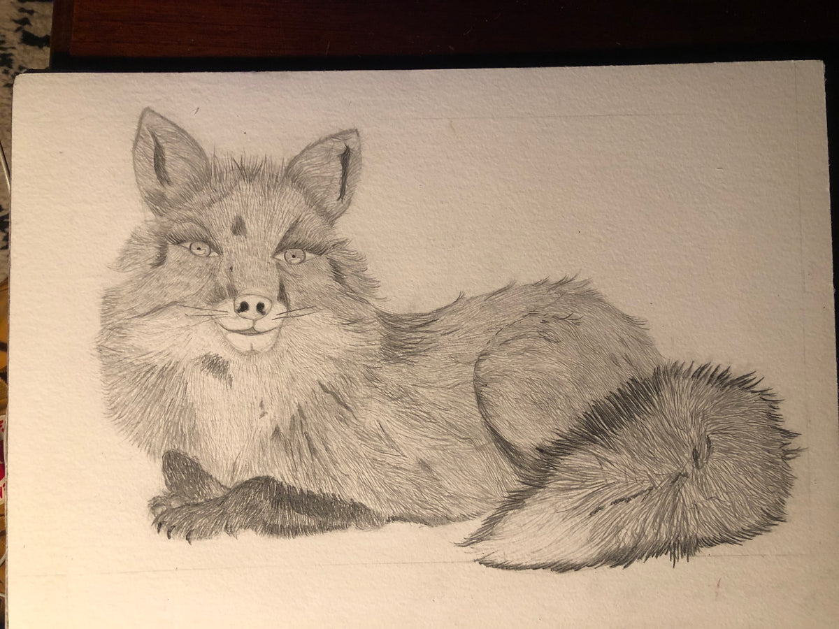 Fine Art Print Cache Valley Fox - Limited Edition