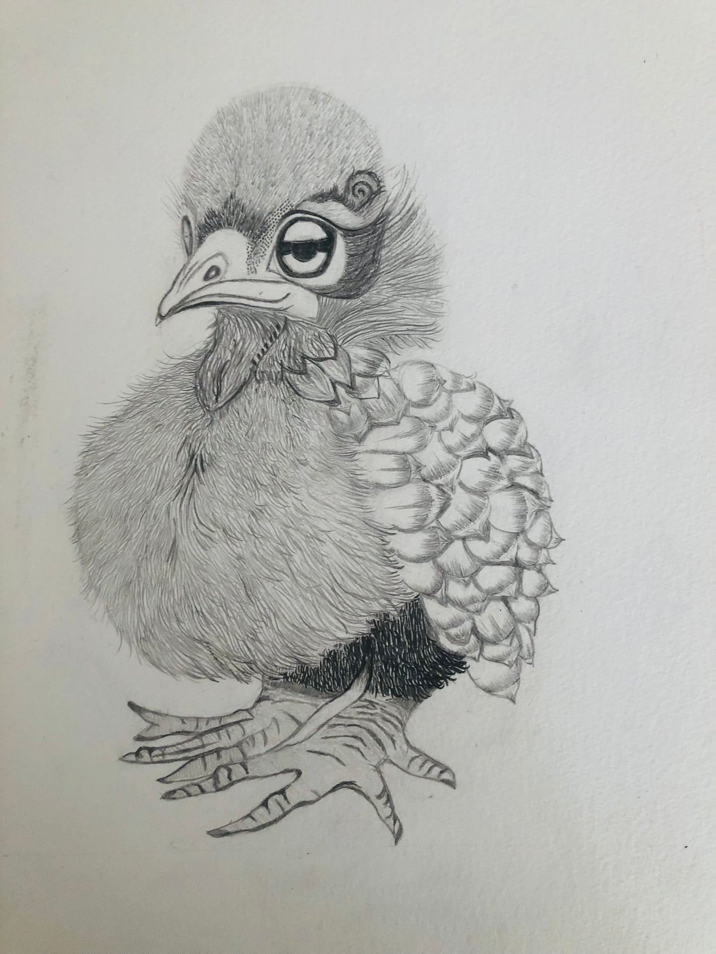 Tea Towel - Geschirrtuch - Peacock Chick
