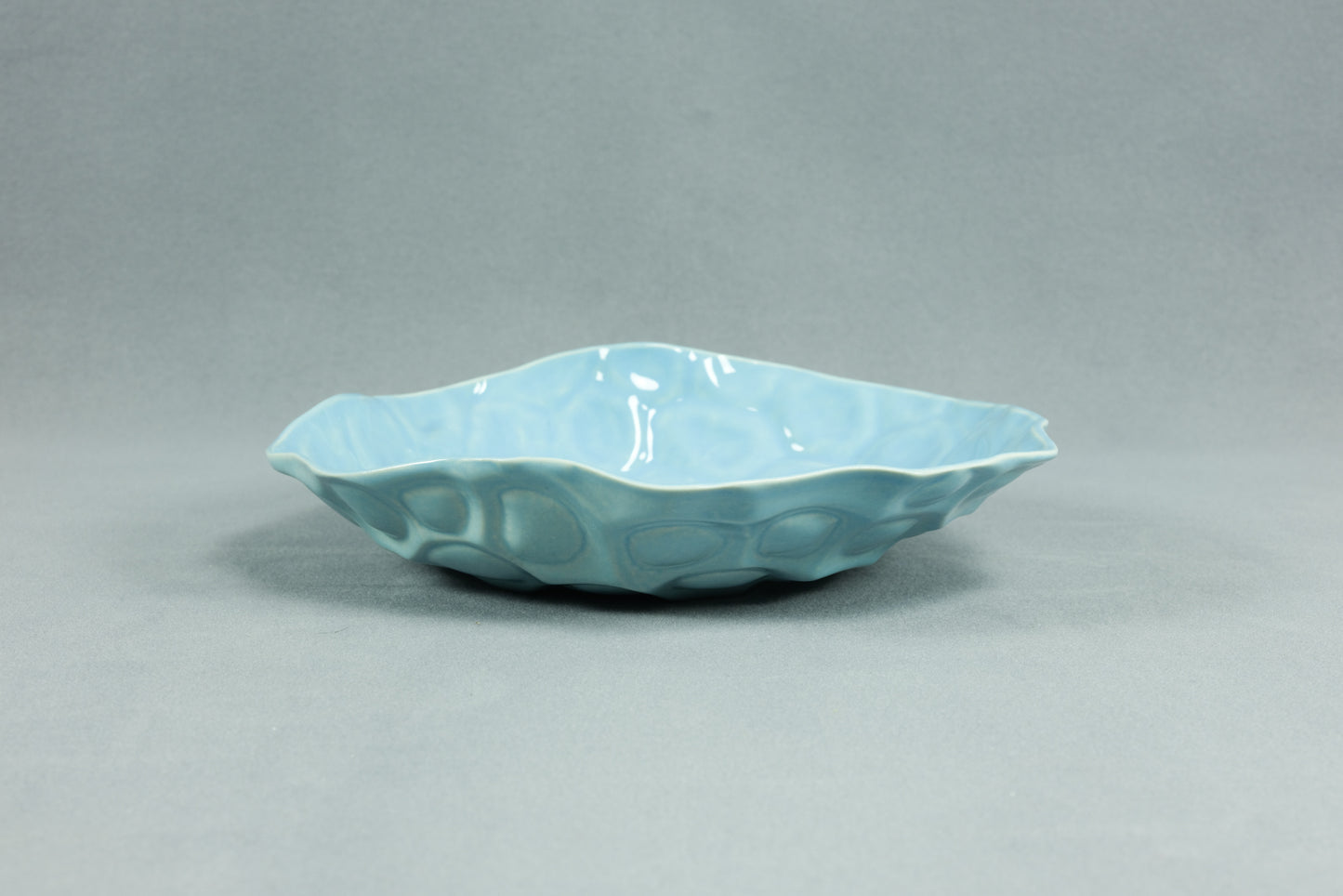 Shell Plate - BabyBlue